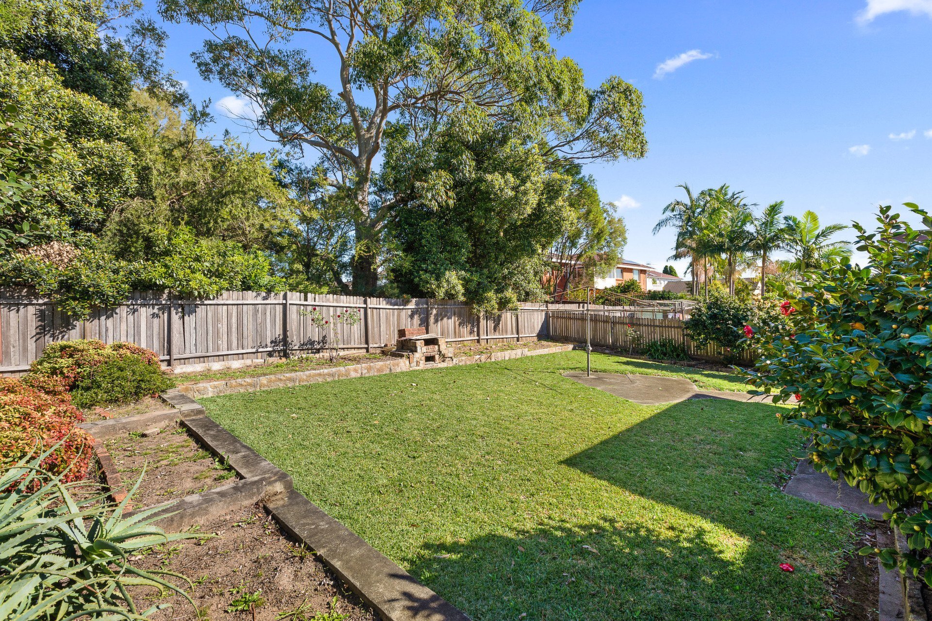 31 Swan Street, Gladesville Sold by Cassidy Real Estate - image 1
