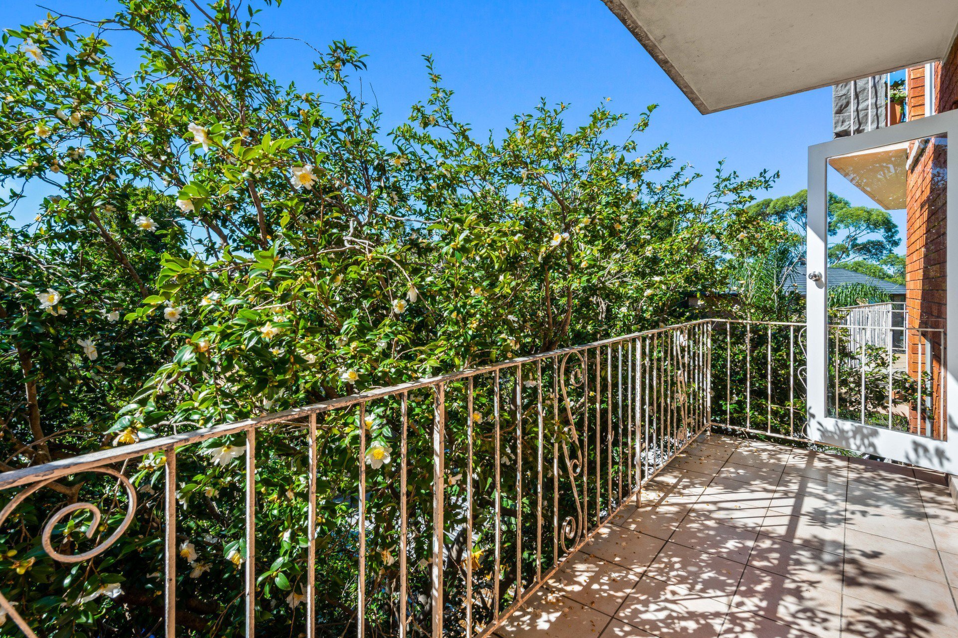 10/13 Harvard Street, Gladesville Sold by Cassidy Real Estate - image 1