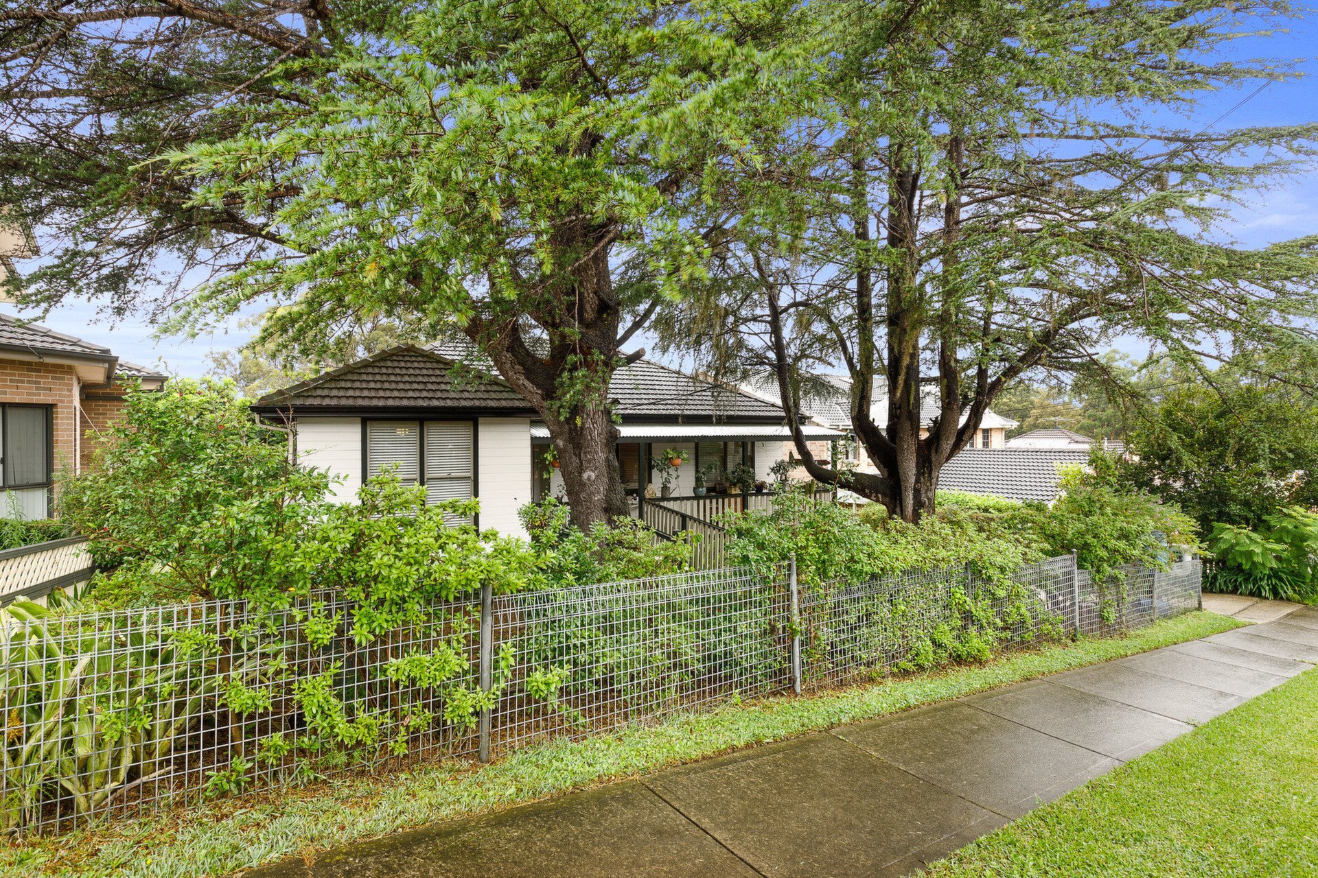 19 Patricia Street, Marsfield Sold by Cassidy Real Estate - image 1