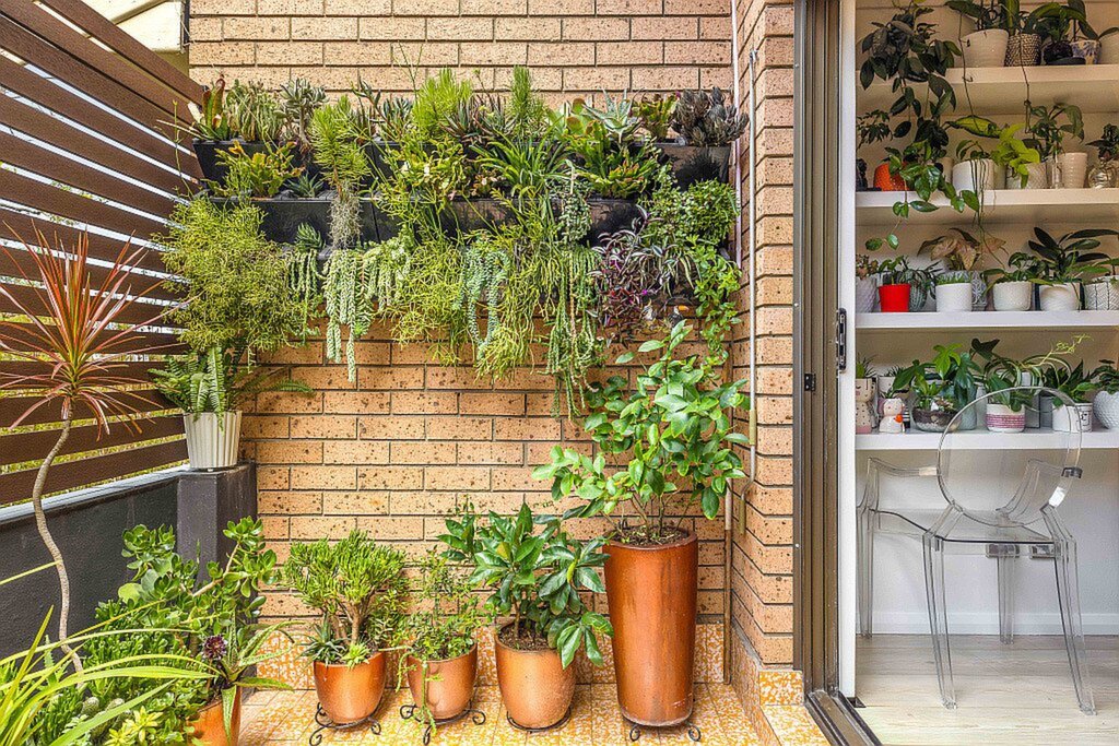 12/2 Pearson Street, Gladesville Sold by Cassidy Real Estate - image 1
