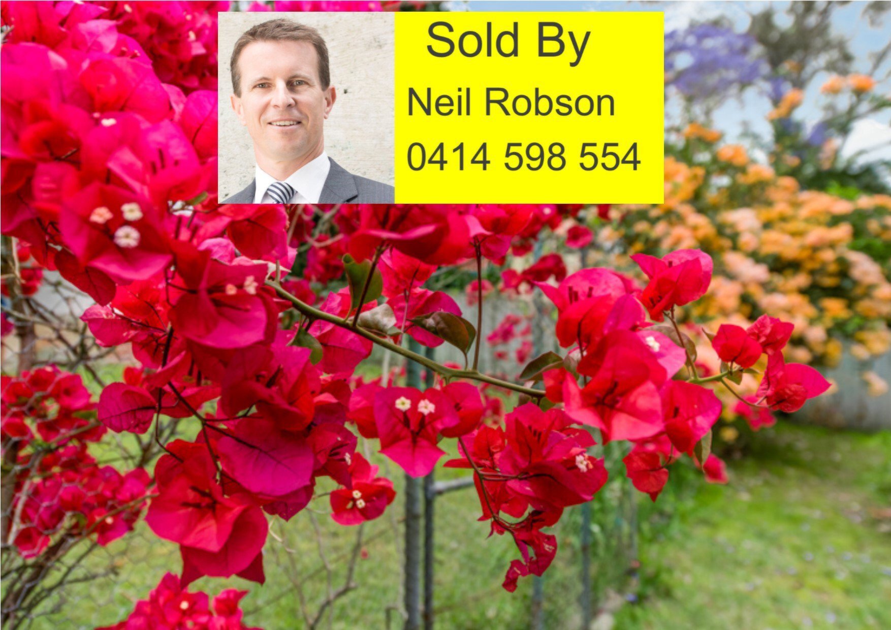 6 Cope Street, Lane Cove Sold by Cassidy Real Estate - image 1