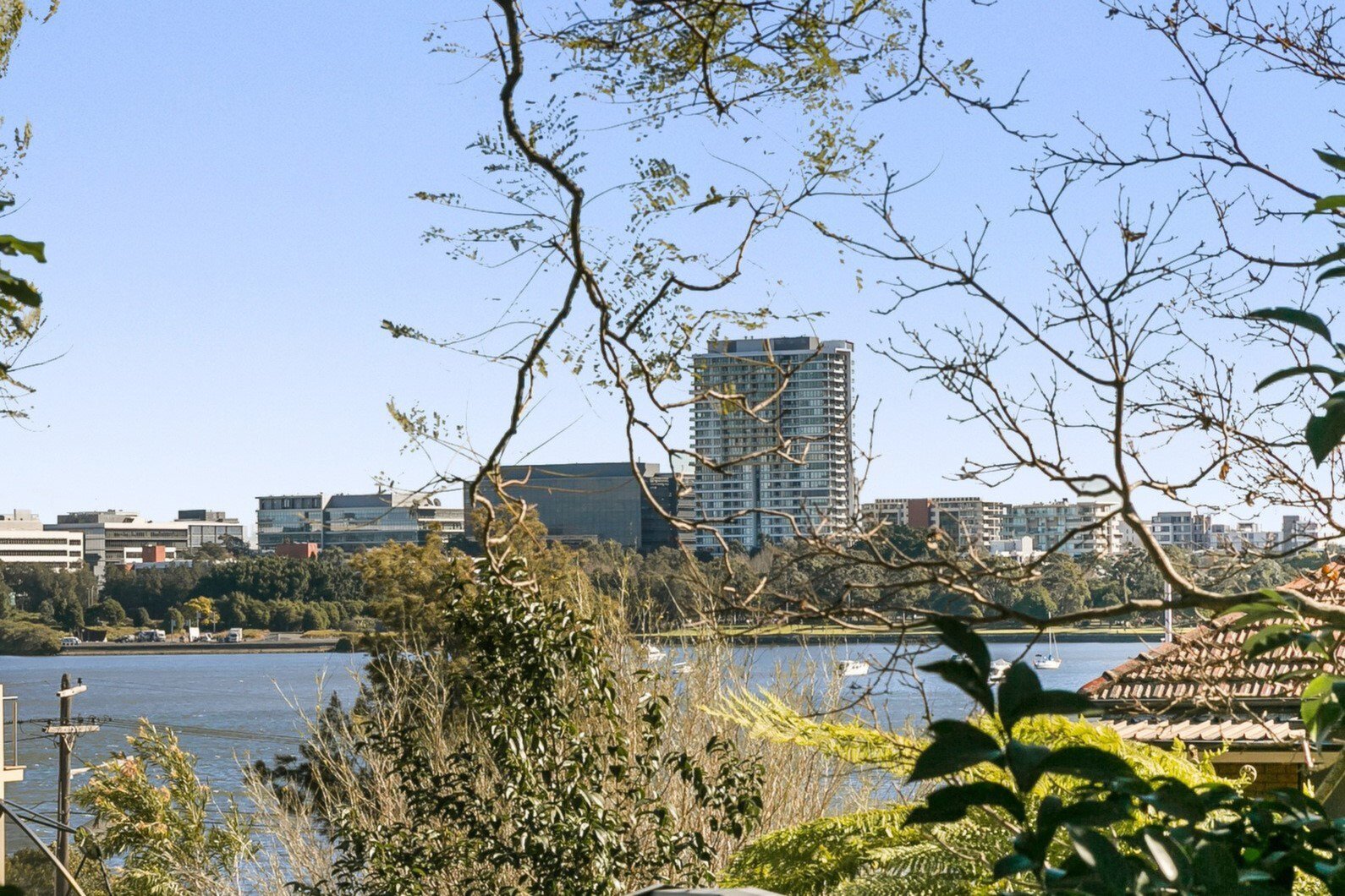 76 Douglas Street, Putney Sold by Cassidy Real Estate - image 1