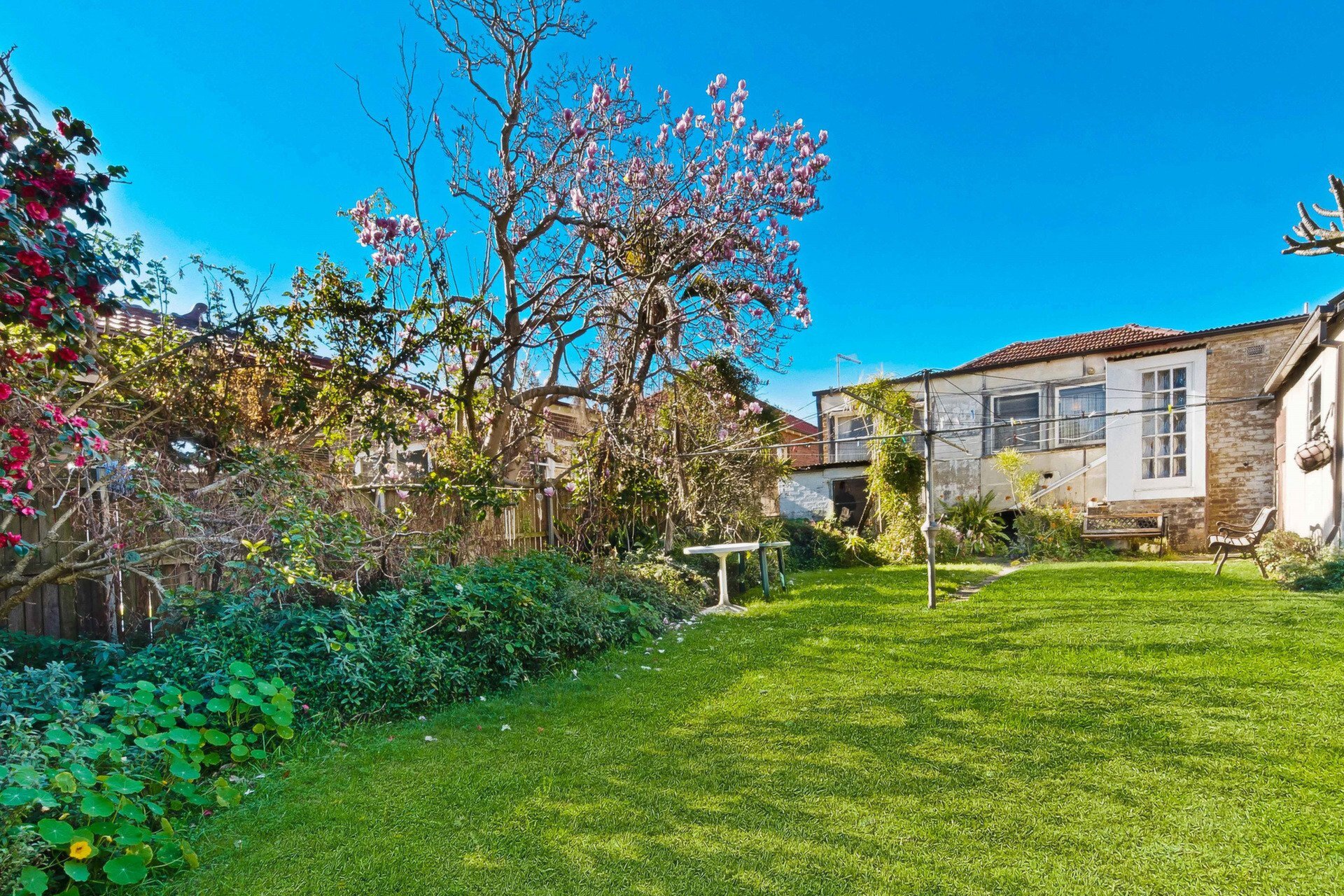 16 Tyrell Street, Gladesville Sold by Cassidy Real Estate - image 1