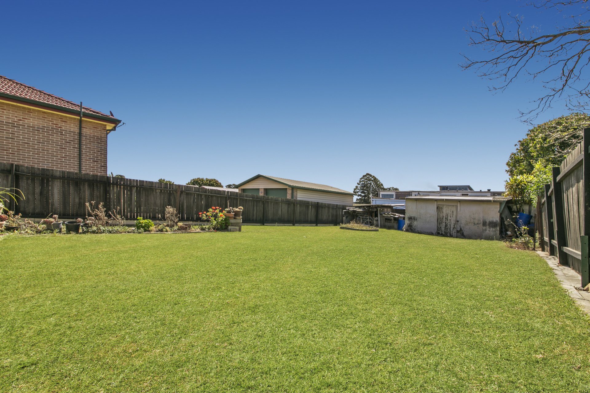 51 Dalmar Street, Croydon Sold by Cassidy Real Estate - image 1