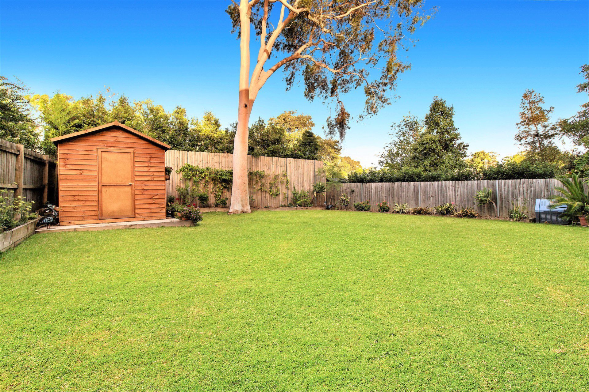 29 Watson Street, Putney Sold by Cassidy Real Estate - image 1