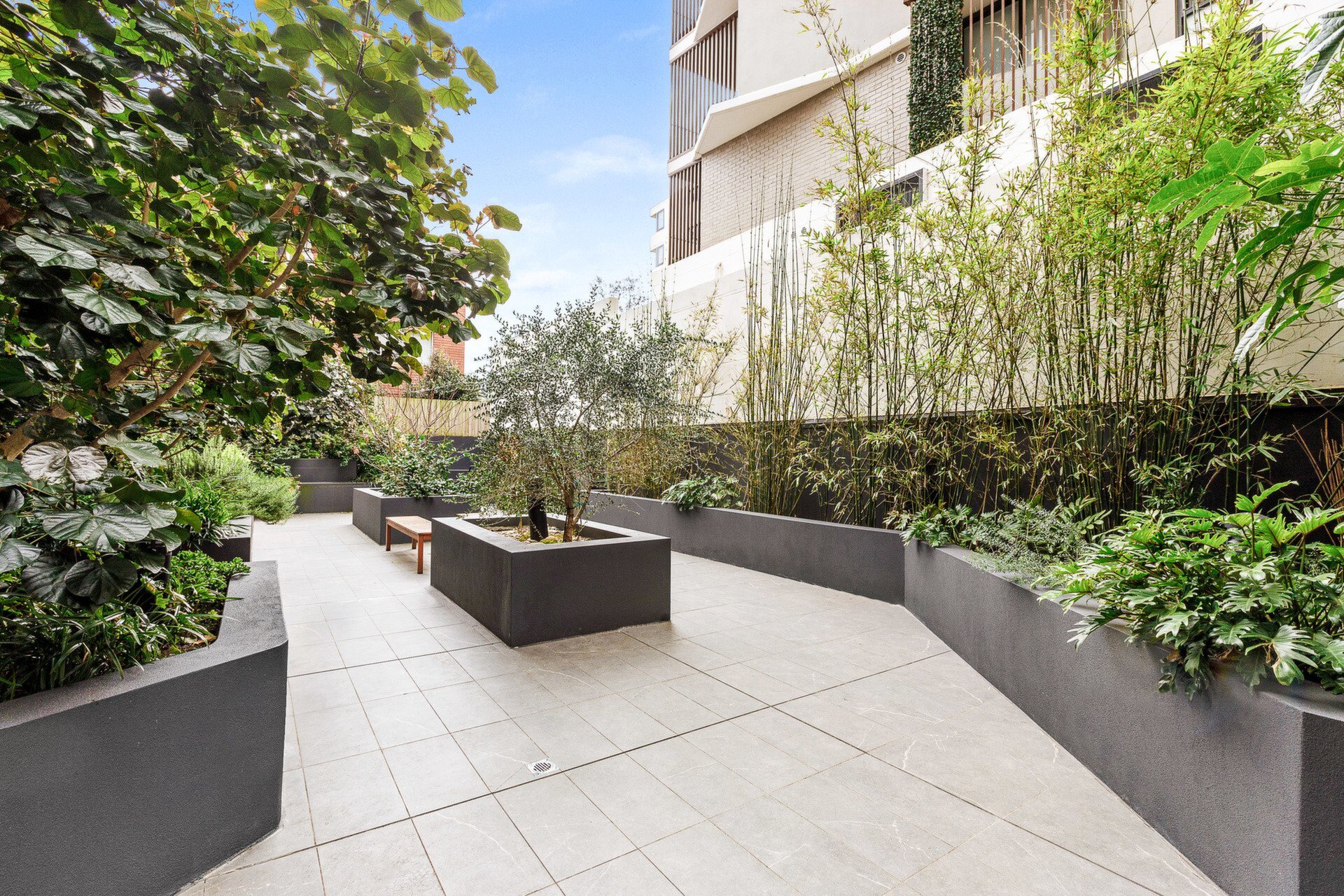 13/13 Jordan Street, Gladesville Sold by Cassidy Real Estate - image 1