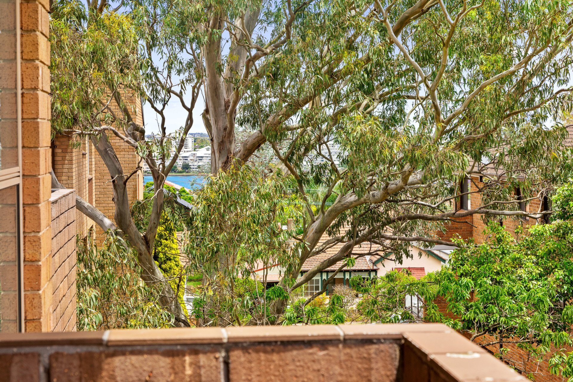 14/10-12 Blair Street, Gladesville Sold by Cassidy Real Estate - image 1