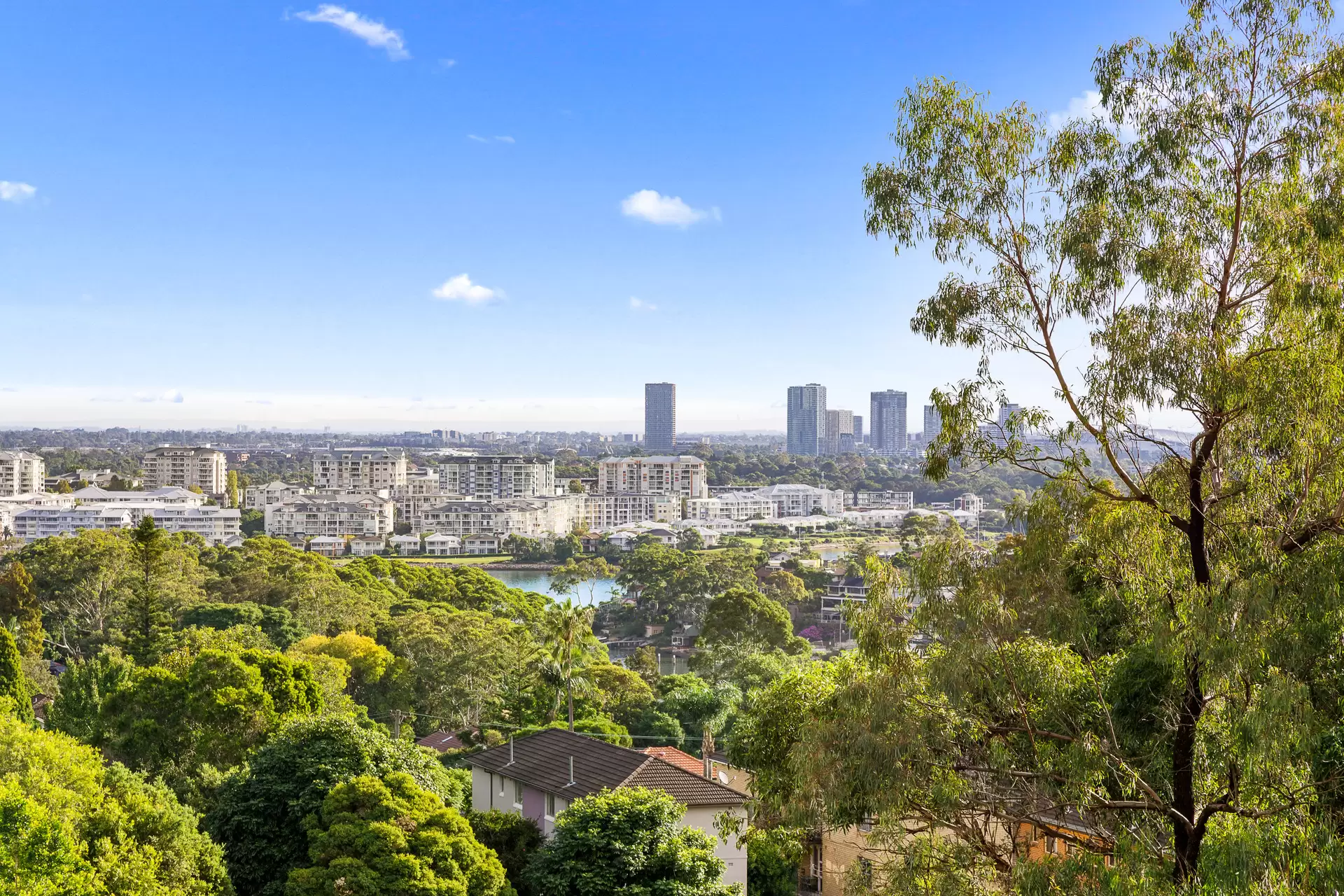 303/1 Meriton Street, Gladesville Sold by Cassidy Real Estate - image 1