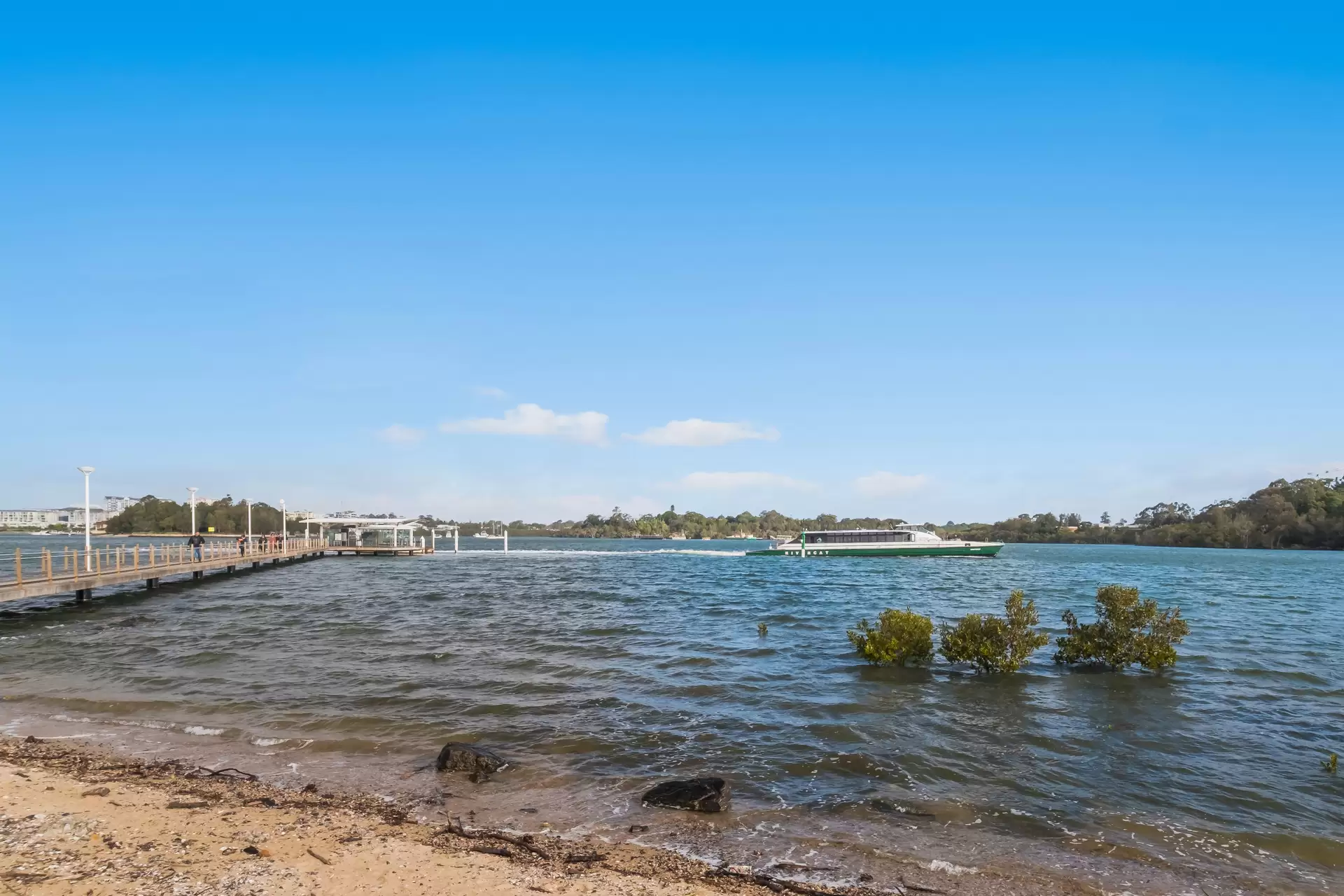 152 Morrison Road, Putney Sold by Cassidy Real Estate - image 1