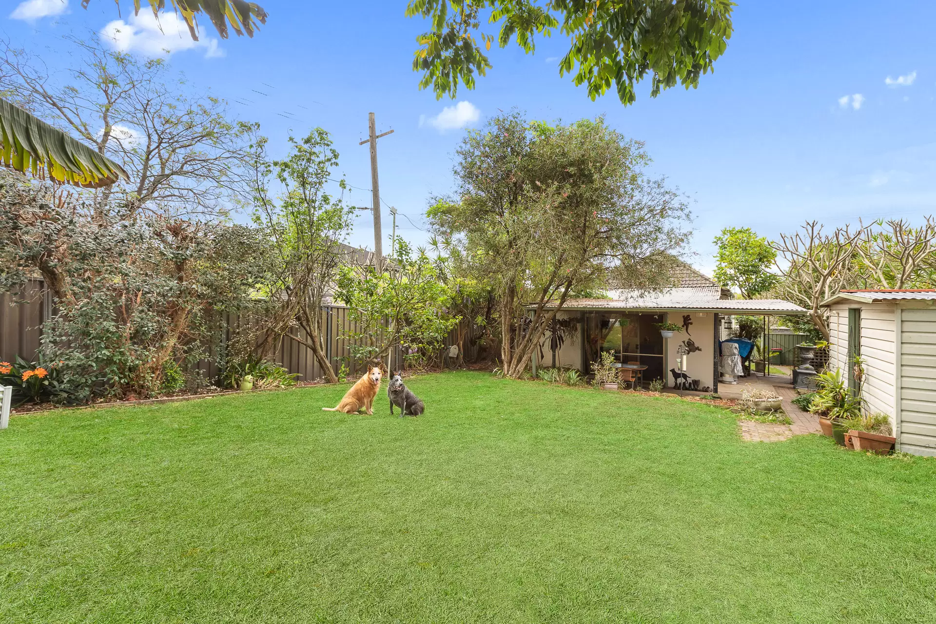 4 Buffalo Road, Gladesville Sold by Cassidy Real Estate - image 1