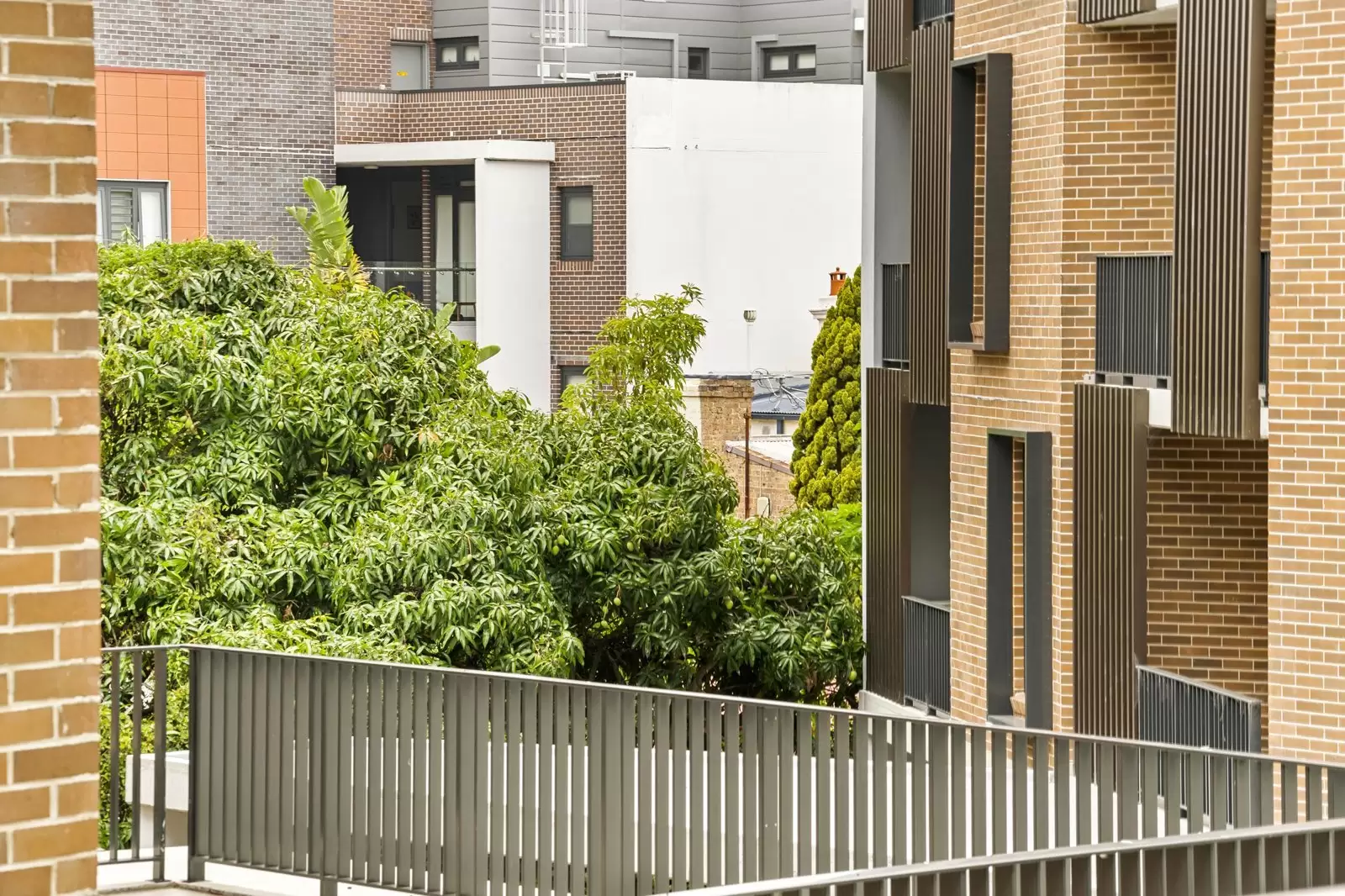 203/118 Old Canterbury Road, Lewisham Sold by Cassidy Real Estate - image 1