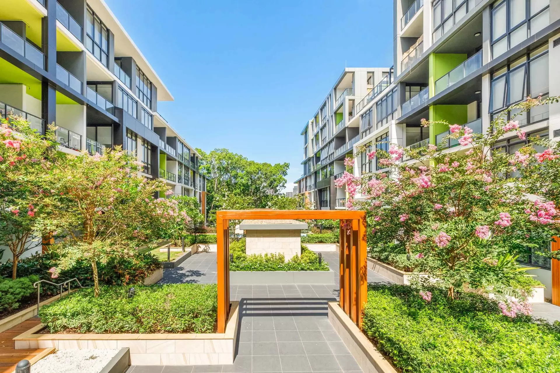 C1503/41-45 Belmore Street, Ryde Leased by Cassidy Real Estate - image 1