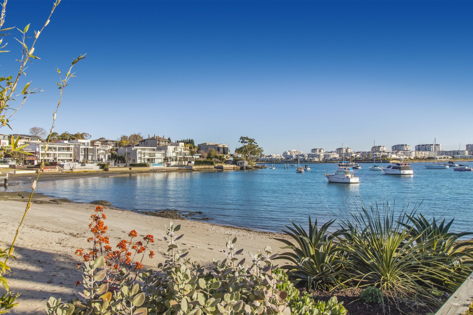 25 Beach Street, Tennyson Point Sold by Cassidy Real Estate - image 1