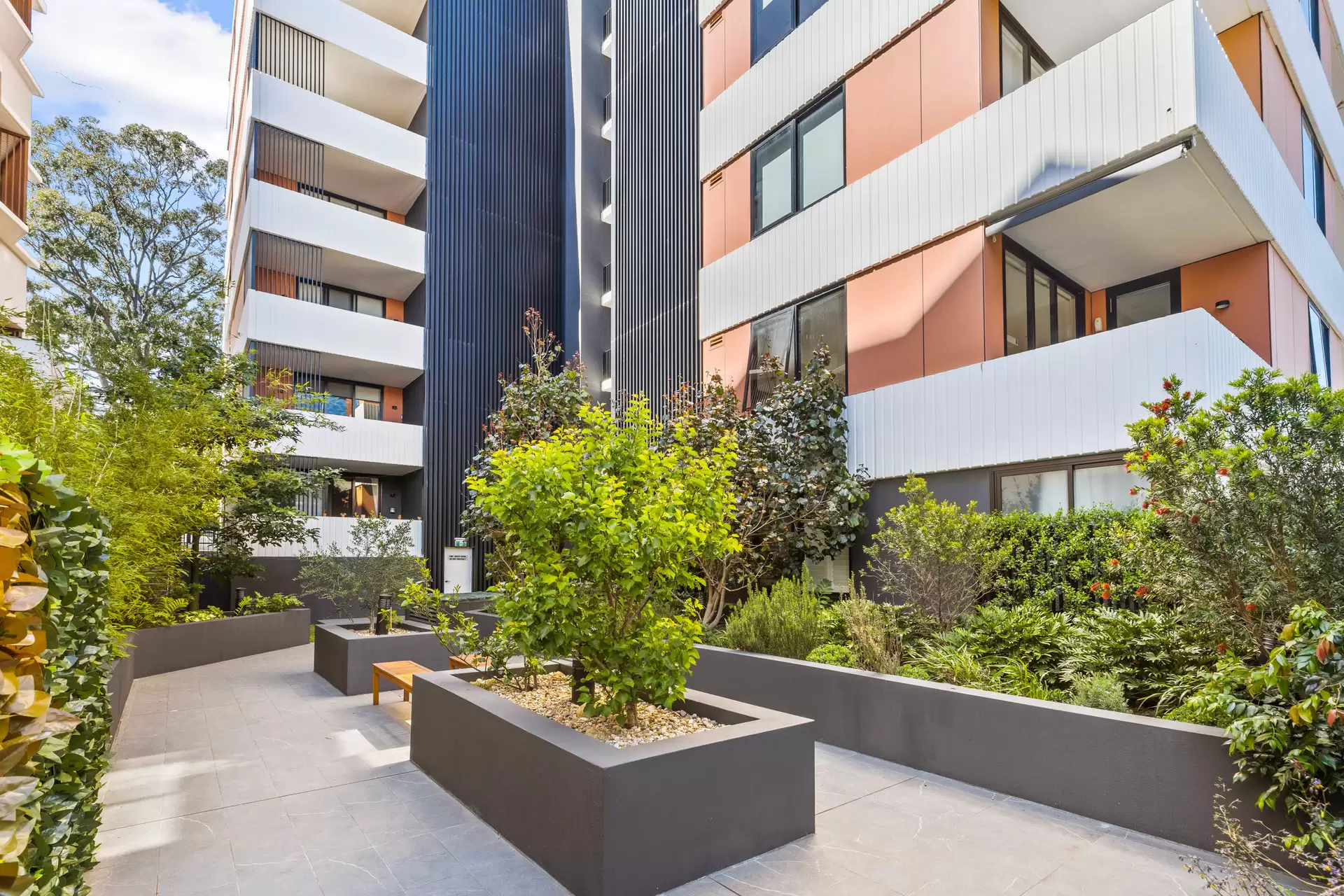 3/13 Jordan Street, Gladesville Sold by Cassidy Real Estate - image 1