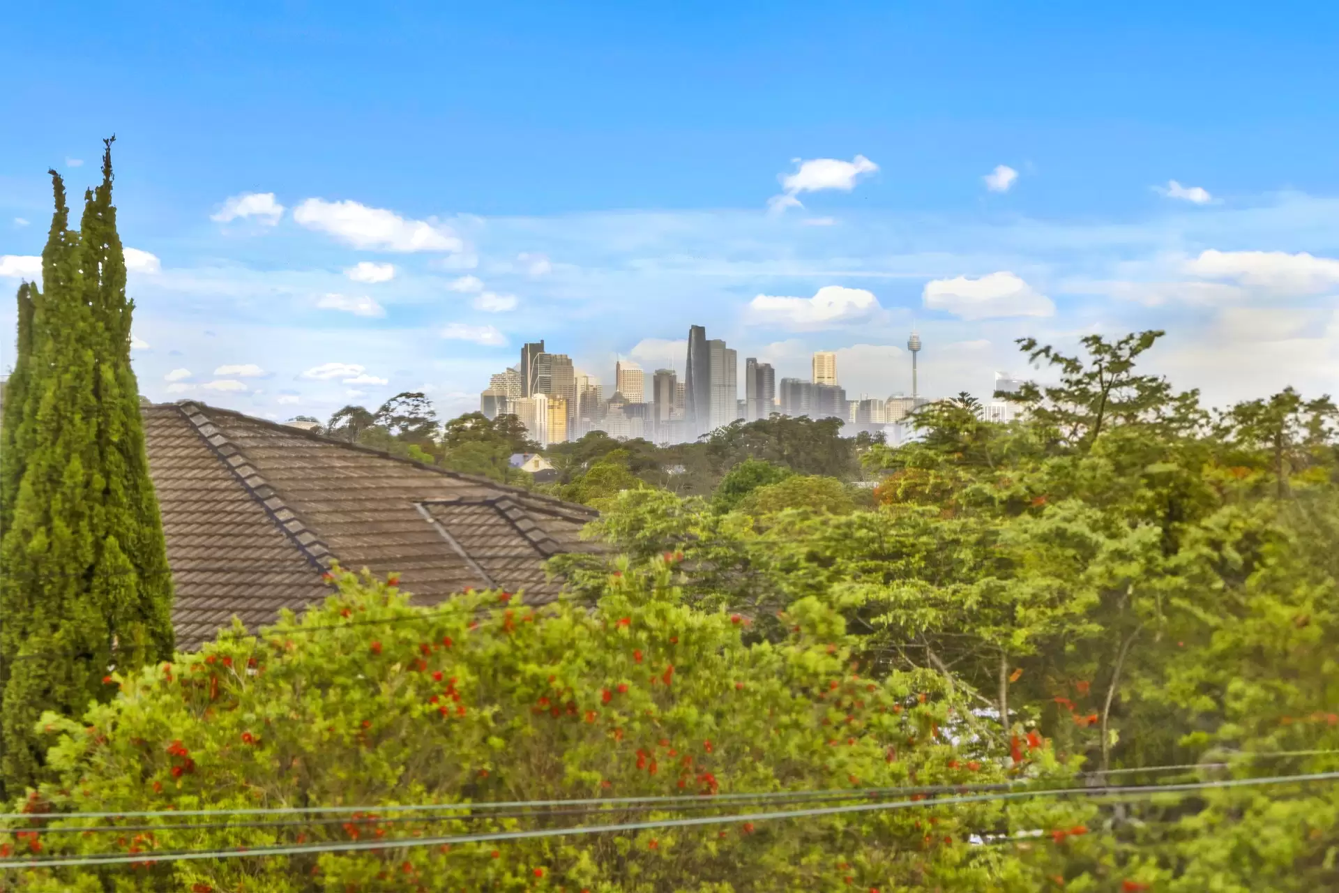 9/8 Harvard Street, Gladesville Leased by Cassidy Real Estate - image 1
