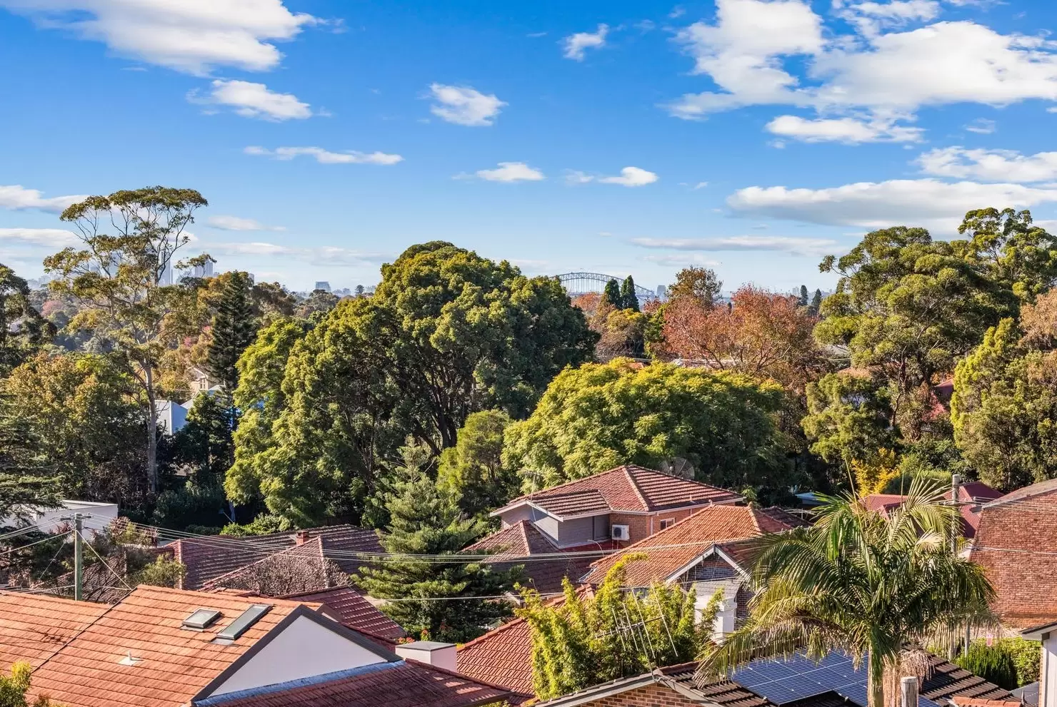 11/3-7 Cowell Street, Gladesville Leased by Cassidy Real Estate - image 1