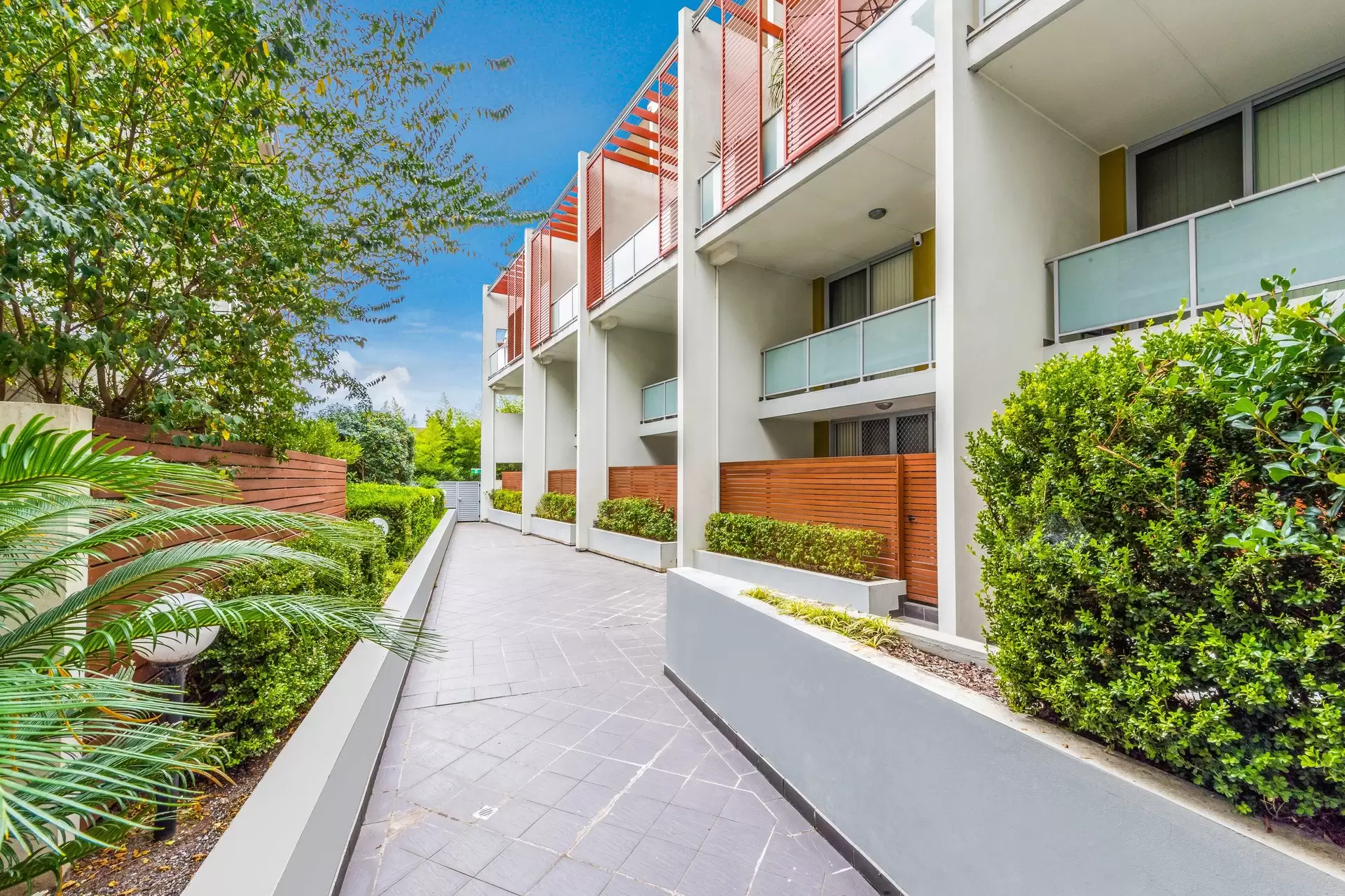 15/3-7 Cowell Street, Gladesville Leased by Cassidy Real Estate - image 1