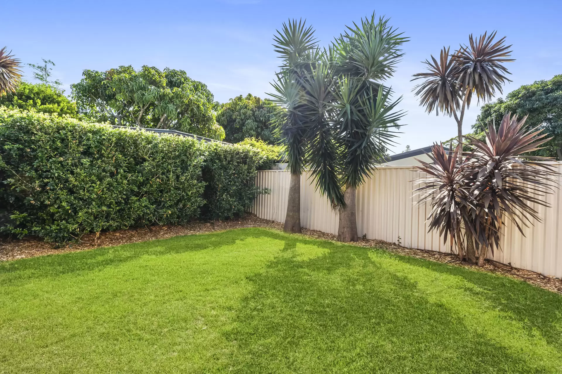 23 Farr Street, Banksia Sold by Cassidy Real Estate - image 1