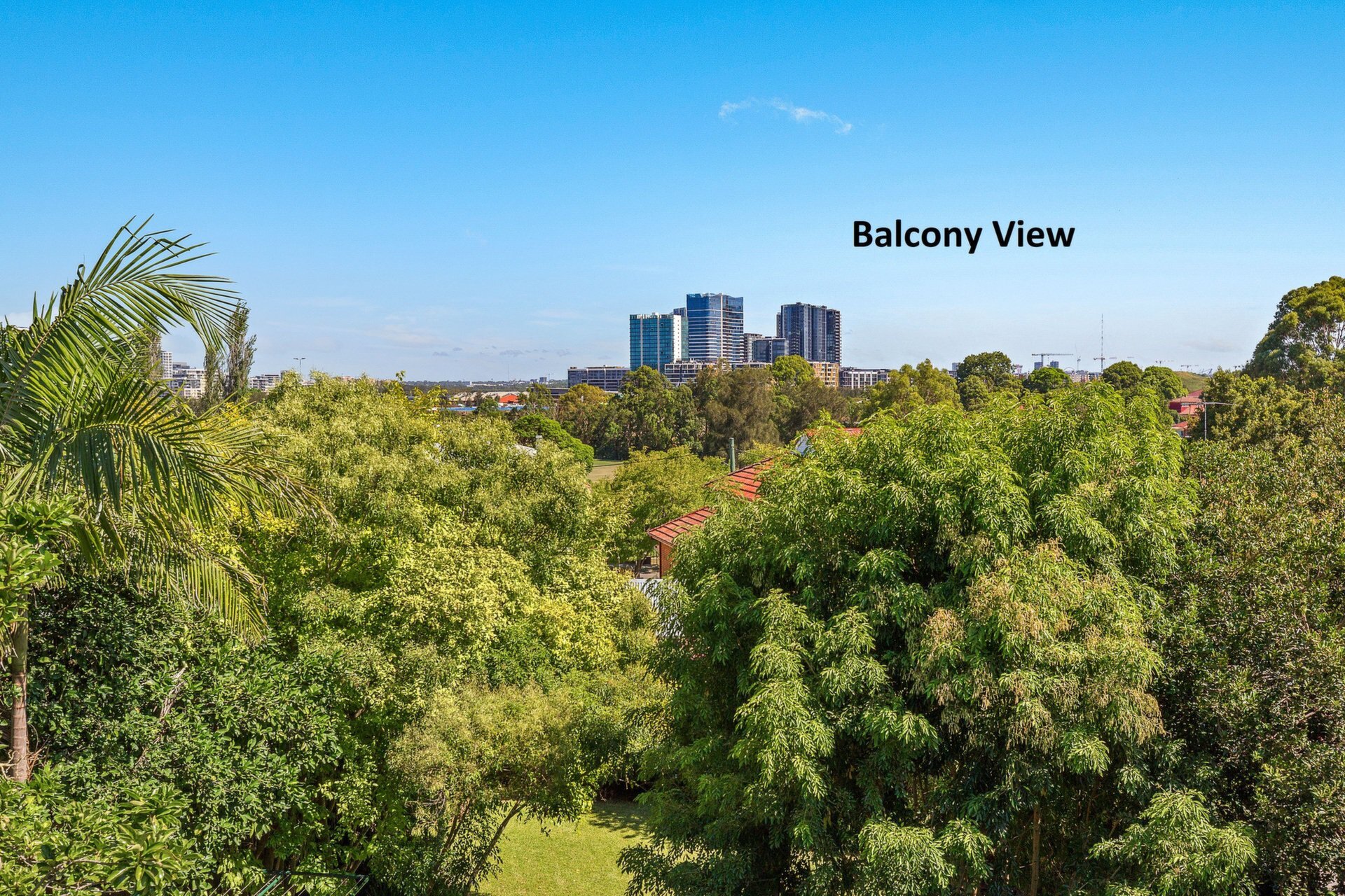14 Andrew Street, Melrose Park Sold by Cassidy Real Estate - image 1