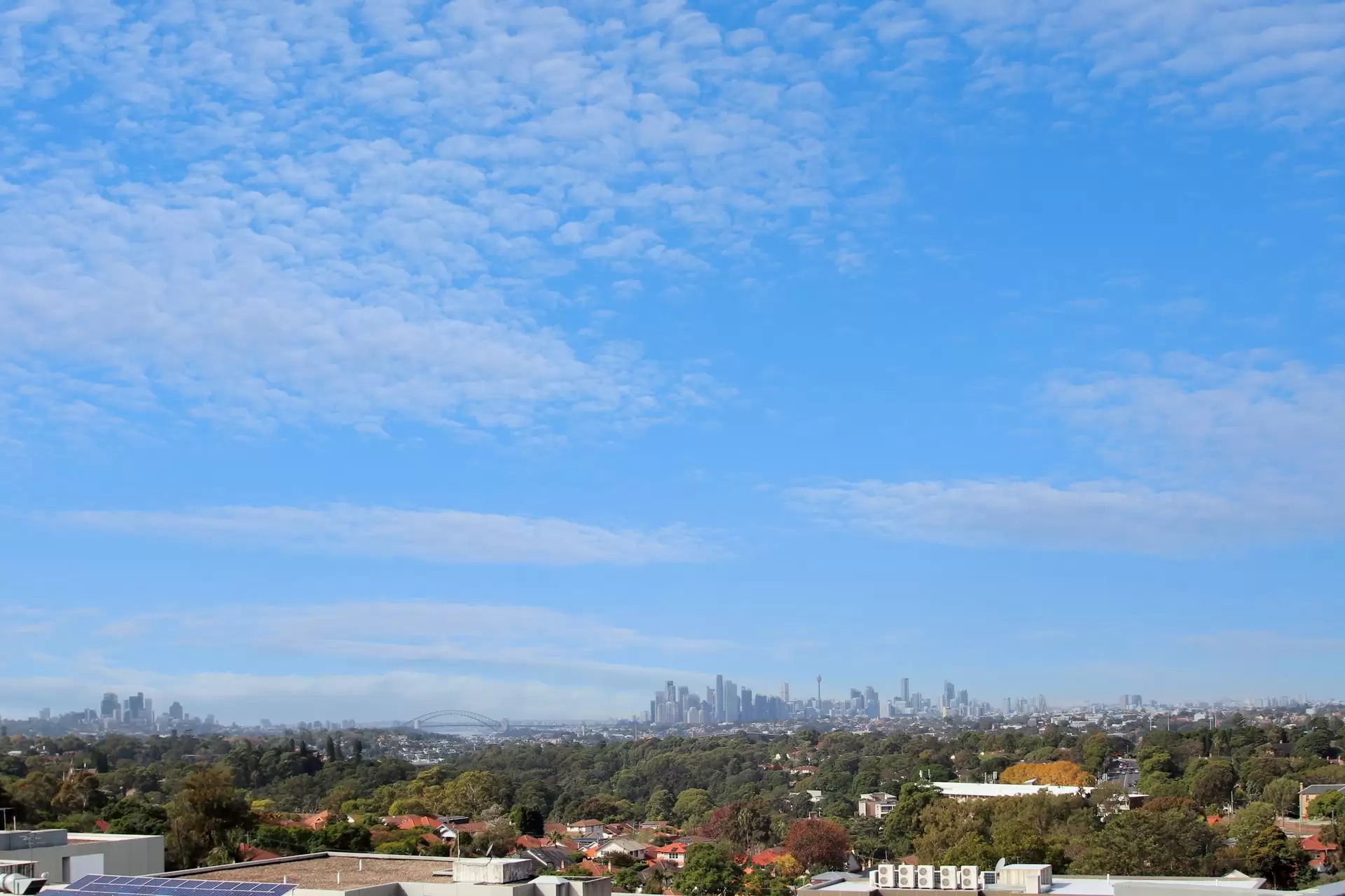 205/8 Wharf Road, Gladesville Leased by Cassidy Real Estate - image 1