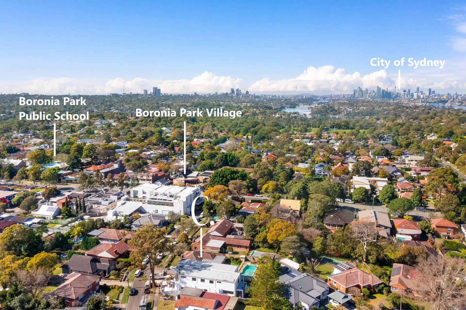 1a Gannet Street, Gladesville Sold by Cassidy Real Estate - image 1