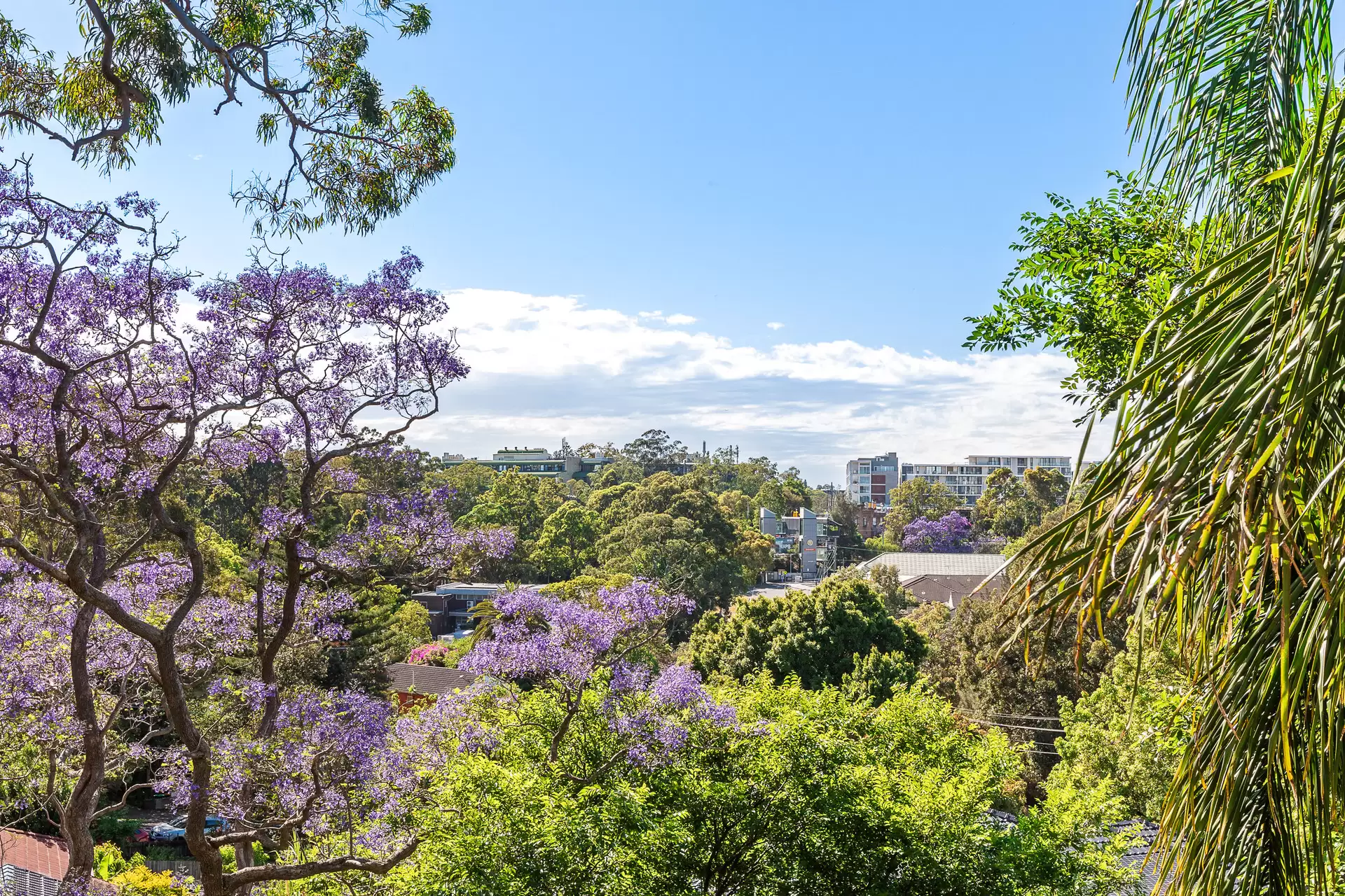 11/101 Constitution Road, West Ryde Sold by Cassidy Real Estate - image 1