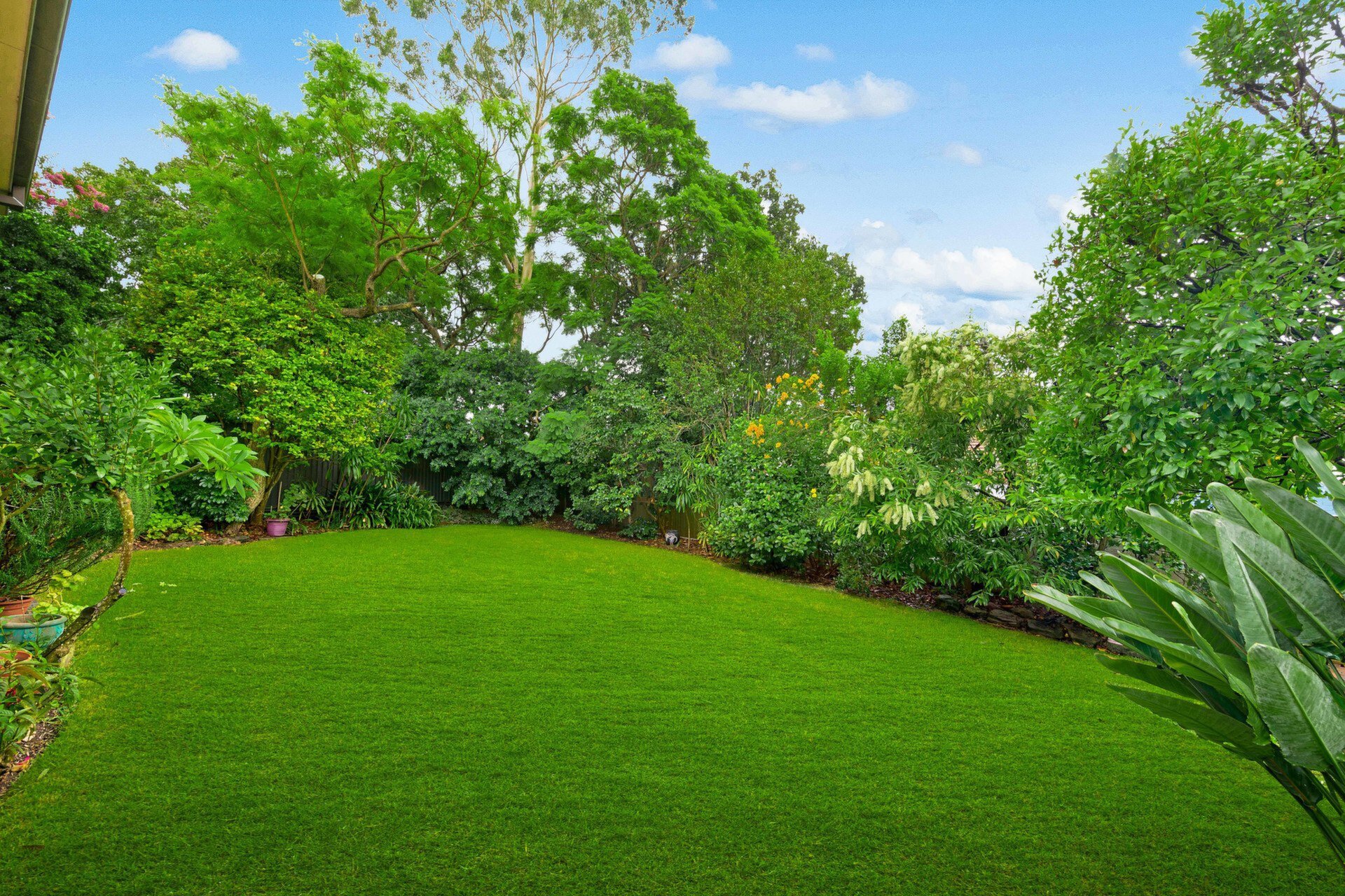 36 Swan Street, Gladesville Sold by Cassidy Real Estate - image 1