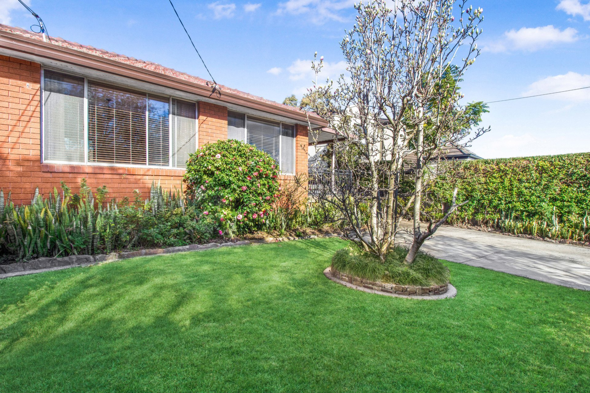 58 Delange Road, Putney Sold by Cassidy Real Estate - image 1