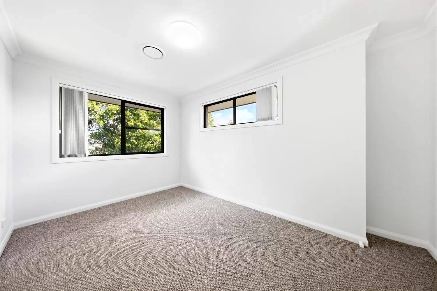 34 Simpson Street, Dundas Valley Leased by Cassidy Real Estate - image 1