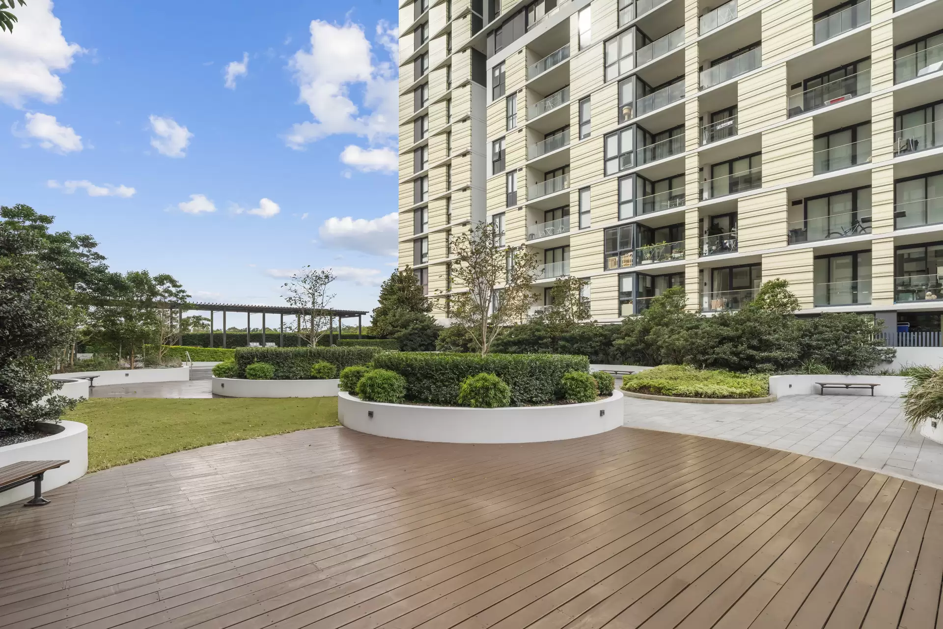 1606/19 Halifax Street, Macquarie Park Sold by Cassidy Real Estate - image 1