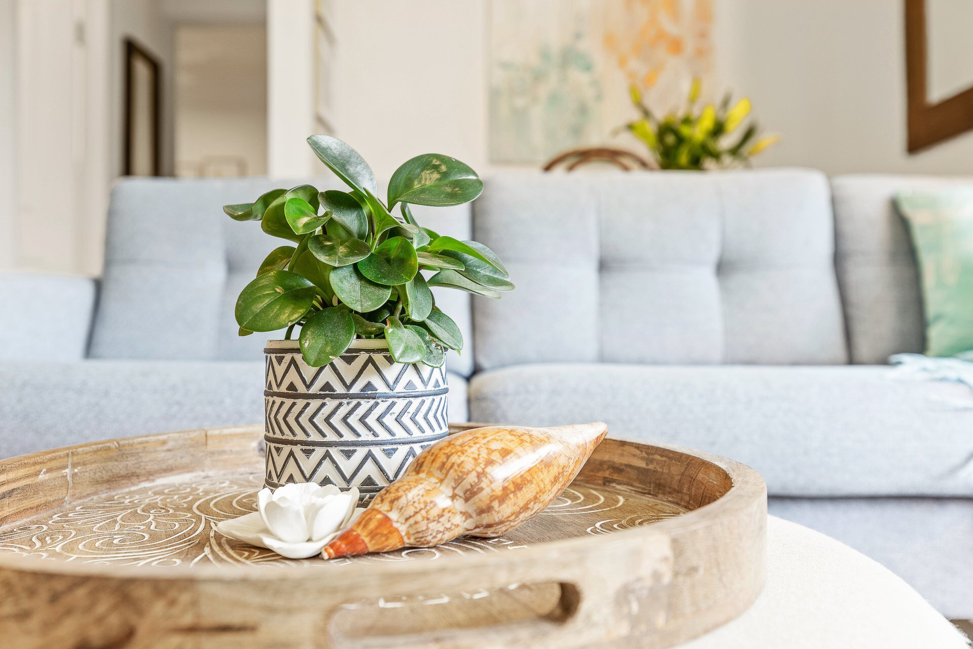 19/25 Ashburn Place, Gladesville Sold by Cassidy Real Estate - image 1