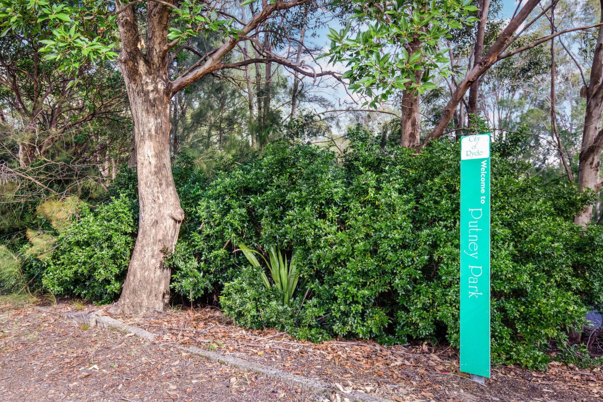 2 Jetty Road, Putney Sold by Cassidy Real Estate - image 1
