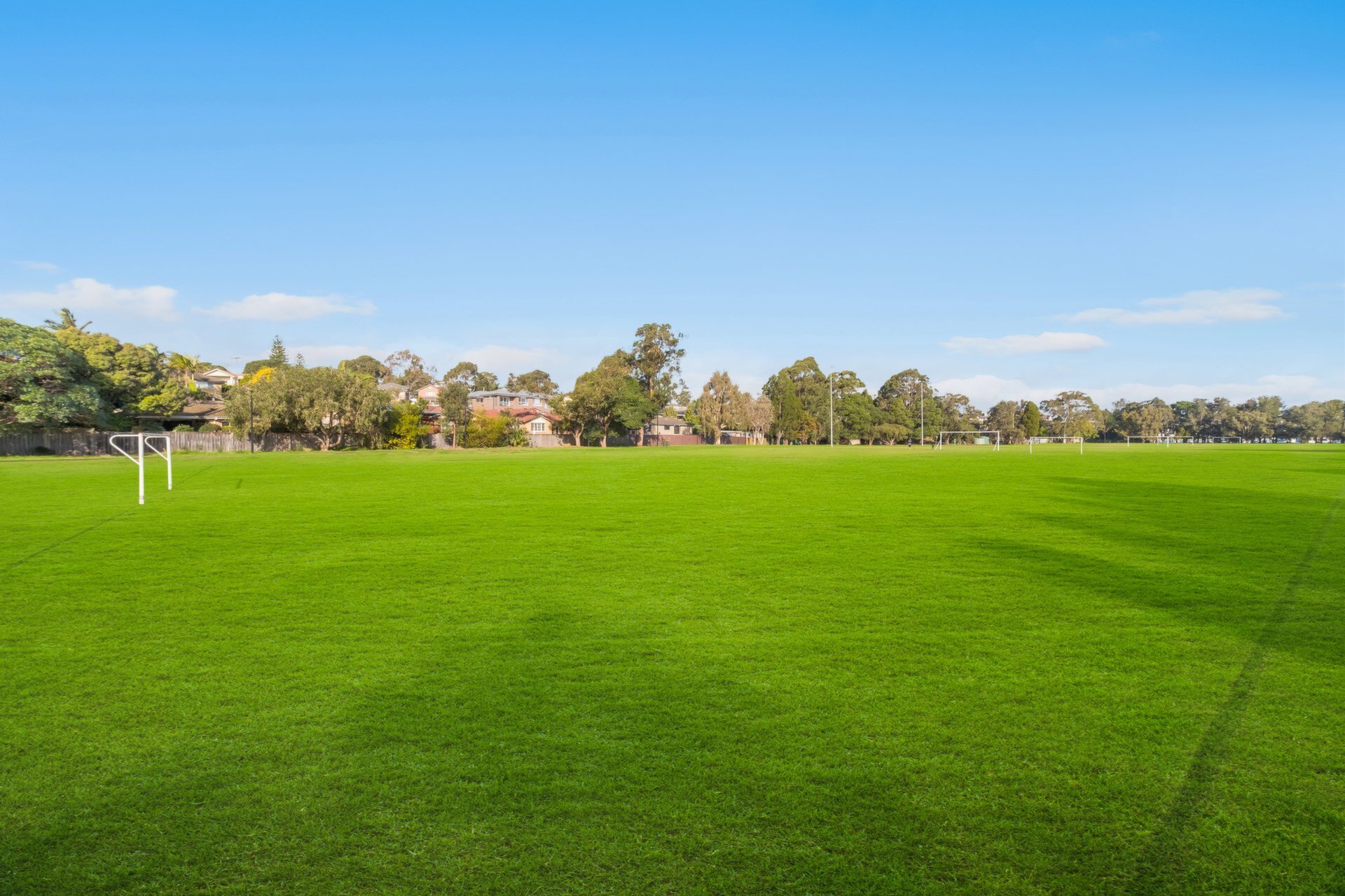 152 Morrison Road, Putney Sold by Cassidy Real Estate - image 1