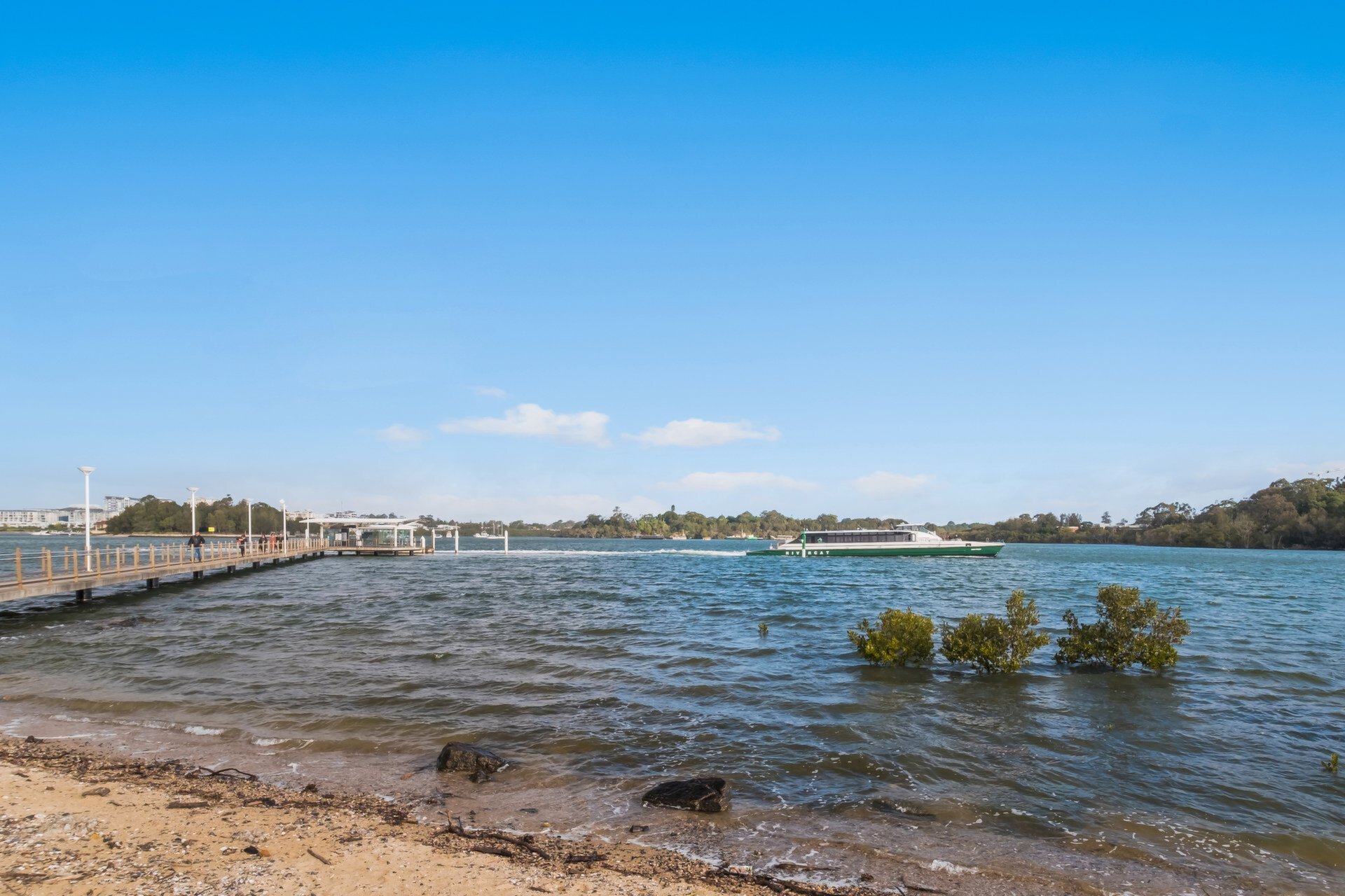 152 Morrison Road, Putney Sold by Cassidy Real Estate - image 1
